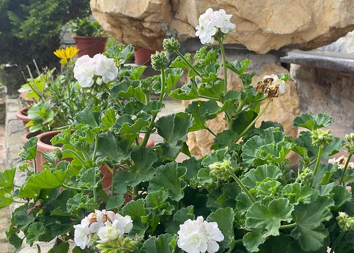 La Corrada Casa de Férias